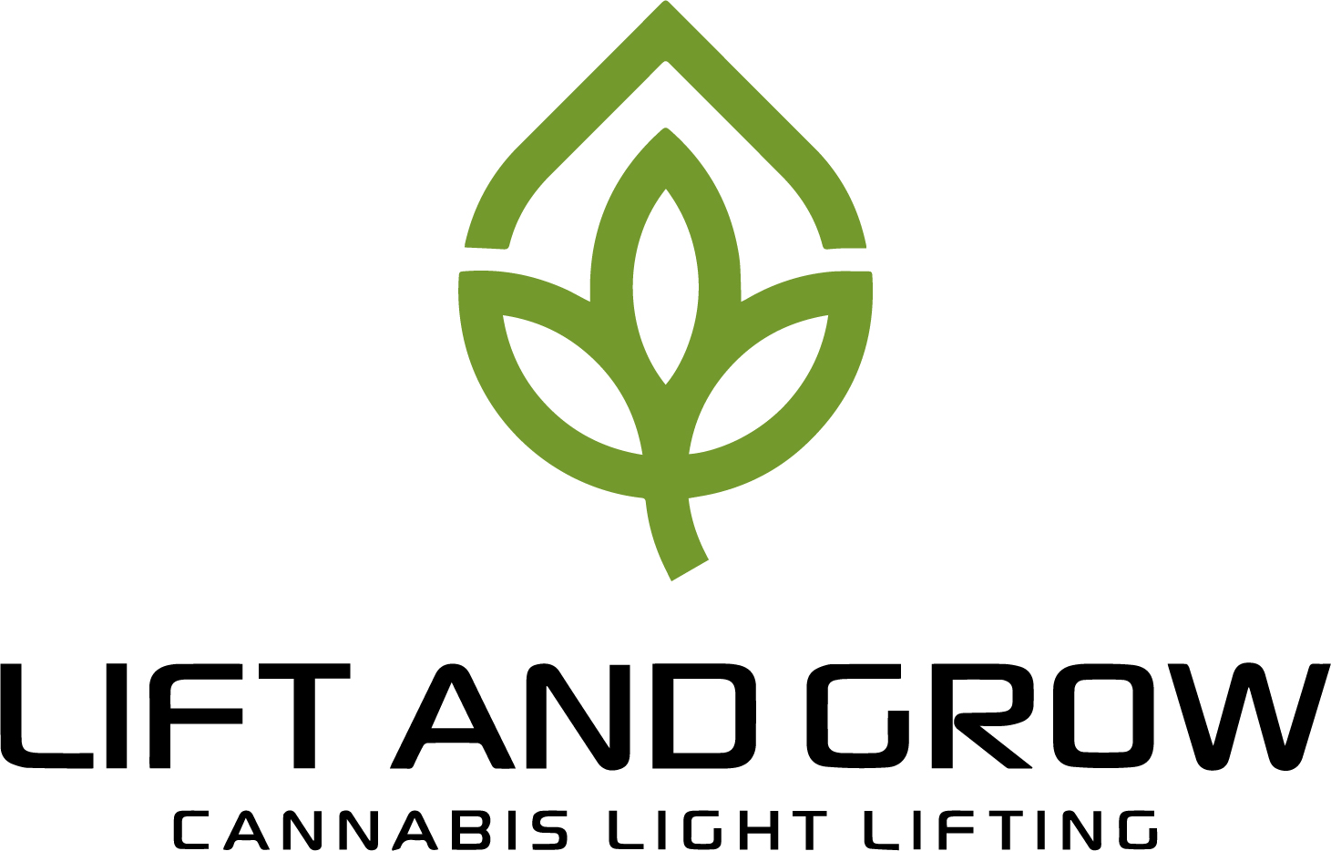 Lift N Grow Logo